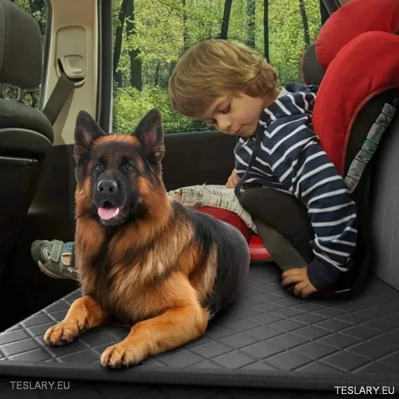 Premium hundebil sete deksel for baksete egnet for Tesla 3, Y&S