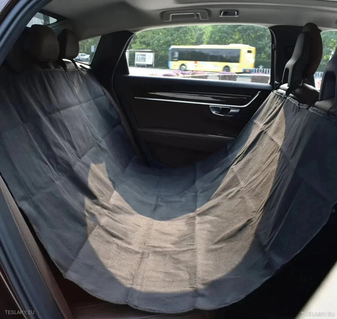 Ontdek Geweldige Accessoires voor uw Tesla