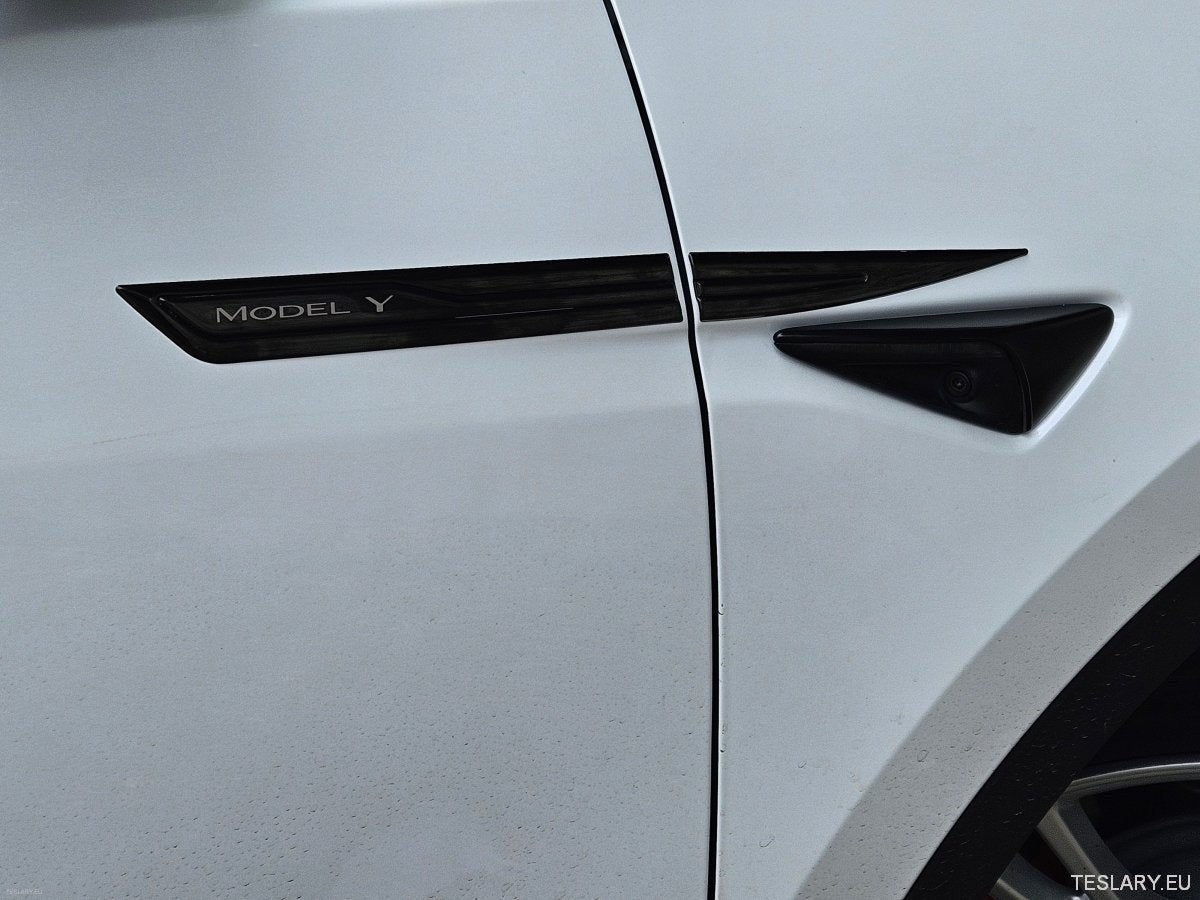 Premium Logo Decal Metal Door & Wing -klistremerker for Tesla 3, Y & X